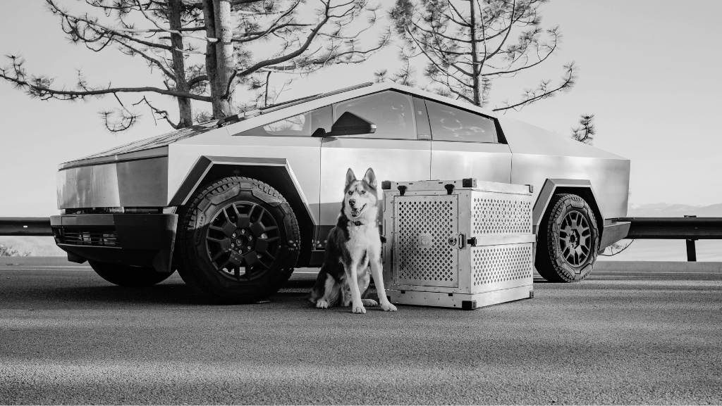 Tecnologia e Pets: Como Dispositivos Inteligentes Estão Transformando o Cuidado com Seu&nbsp;Cão