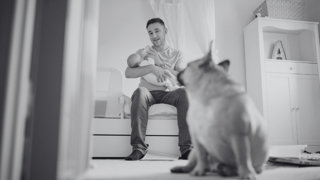 Cães Sentem Ciúmes? Como Lidar com Esse Comportamento no Seu&nbsp;Pet