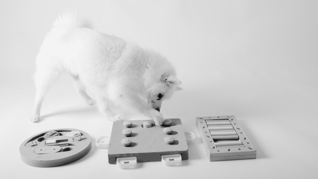 Enriquecimento Ambiental e Saúde Mental dos Cães: Como Evitar Problemas&nbsp;Comportamentais