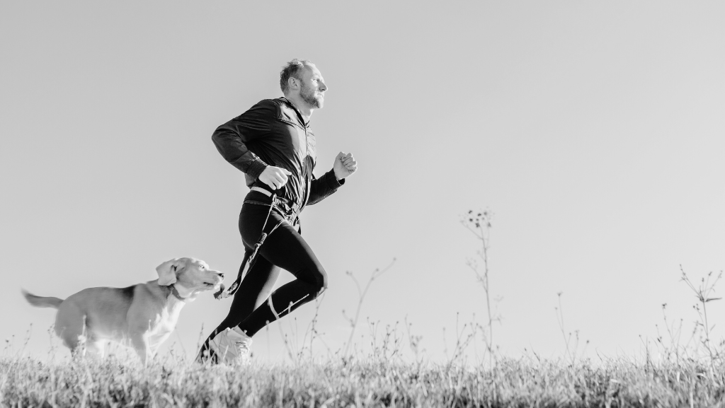 Benefícios dos Esportes Caninos para a Saúde Física e Mental do Seu&nbsp;Pet