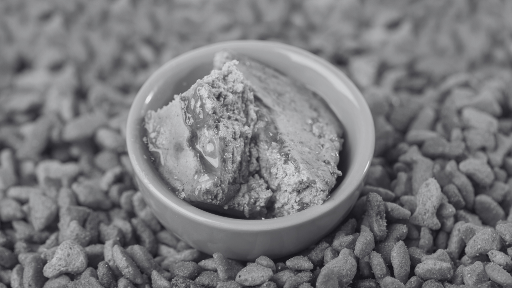 Diferenças Entre Ração Seca e Ração Úmida: Qual Escolher Para o Seu&nbsp;Cão?